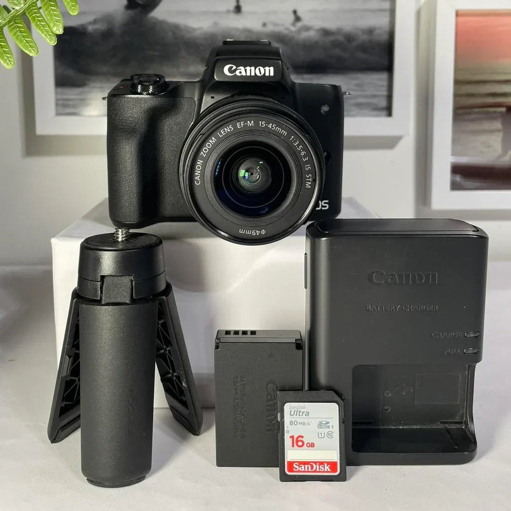 Canon M50 mirrorless flip screen | 24.1 megapixel digital camera
